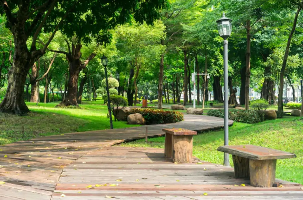 Parque