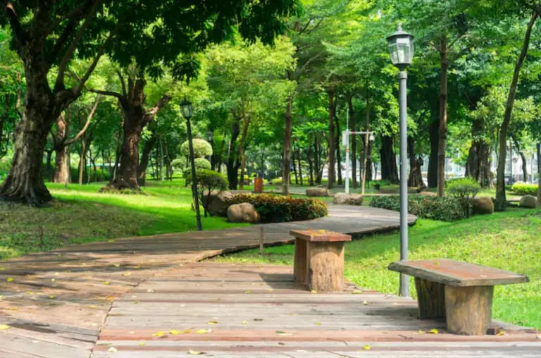 Parque