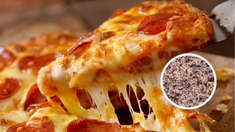 Bactérias em pizzaria causam morte de mulher e deixam 117 doentes