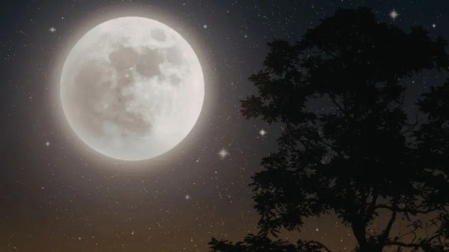 Não é mentira! Teremos Lua cheia "rosa" em 1º de abril Alguns povos chamam esse fenômeno de Lua do Ovo, por causa do período de fertilidade de vários animais