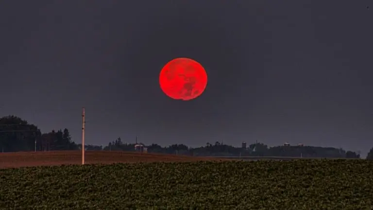 A melhor forma de acompanhar a Lua de Sangue em sua totalidade será pelas transmissões online