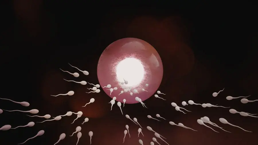 O que est&aacute; em jogo n&atilde;o &eacute; apenas impedir temporariamente a fertilidade, mas fazer isso de forma revers&iacute;vel