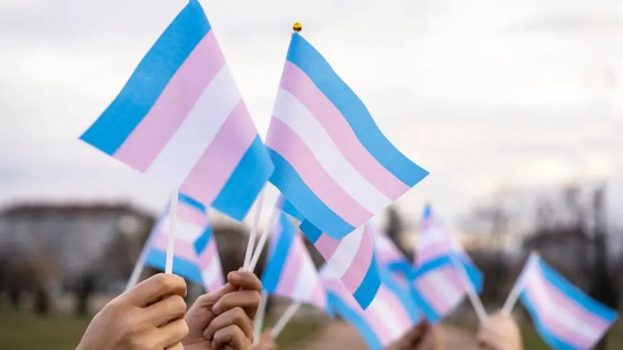 A palavra aparece em not&iacute;cias, debates pol&iacute;ticos e discuss&otilde;es sociais, mas nem sempre fica claro o que ela significa exatamente