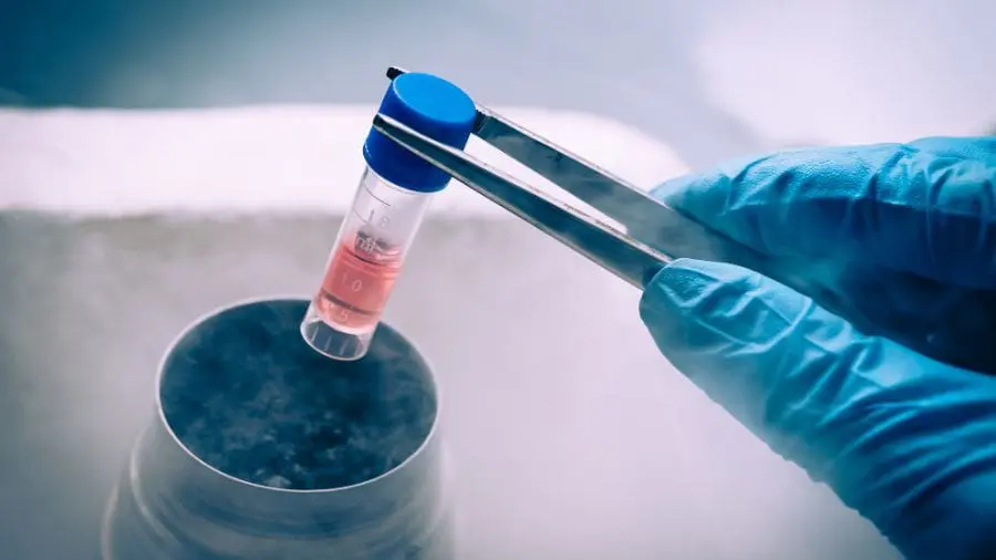 Entre os avan&ccedil;os mais empolgantes da ci&ecirc;ncia est&aacute; a reposi&ccedil;&atilde;o de c&eacute;lulas produtoras de insulina usando c&eacute;lulas-tronco