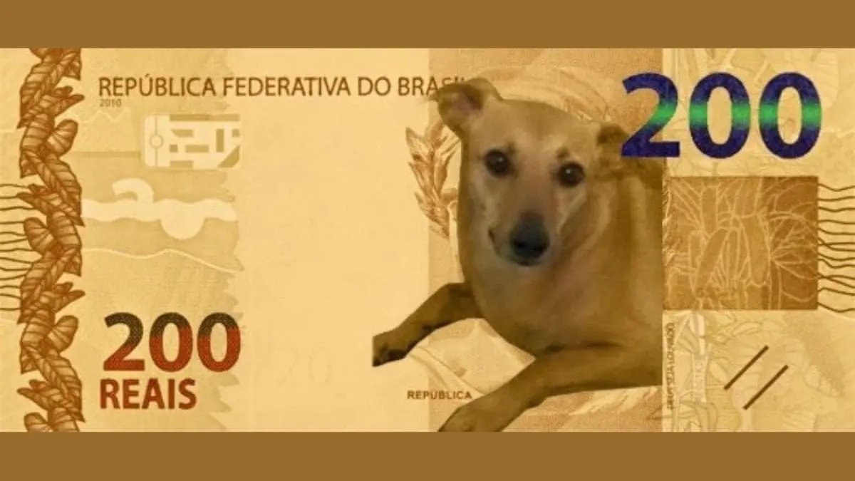 No Brasil, ele j&aacute; virou &iacute;cone. Est&aacute; nos memes, nas campanhas e at&eacute; em propostas de c&eacute;dulas fict&iacute;cias