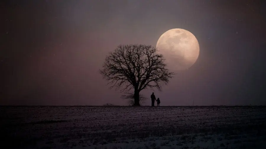 Lua rosa de hoje ilumina o céu do Brasil no dia da mentira A Lua rosa de hoje é apenas o nome dado à lua cheia de abril