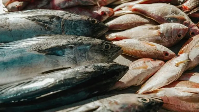 Por que católicos não comem carne na Sexta-Feira Santa?