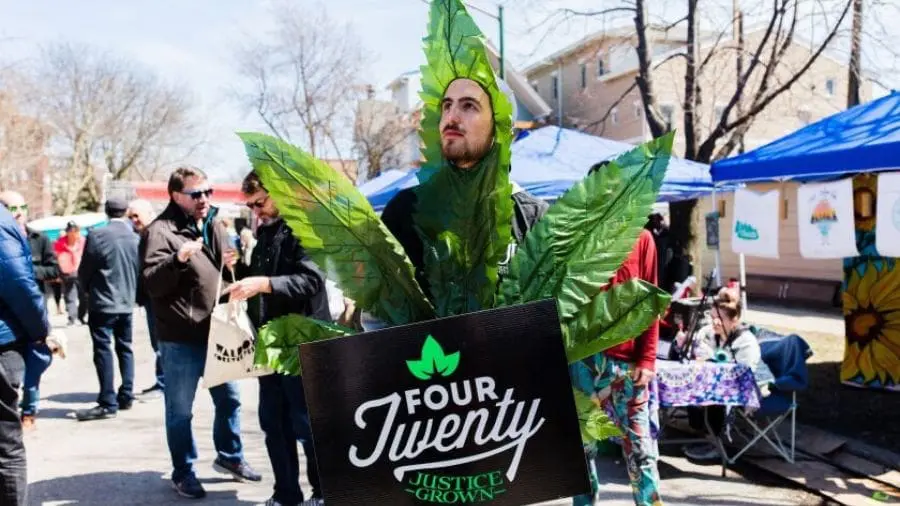 Hoje é o Dia Mundial da Cannabis. Baseado em que criaram essa data? Celebração da data surgiu nos Estados Unidos e ganhou o mundo