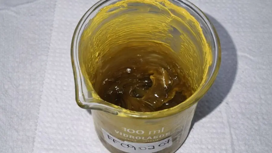 Pesquisadores brasileiros criam filtro solar à base de cerveja
