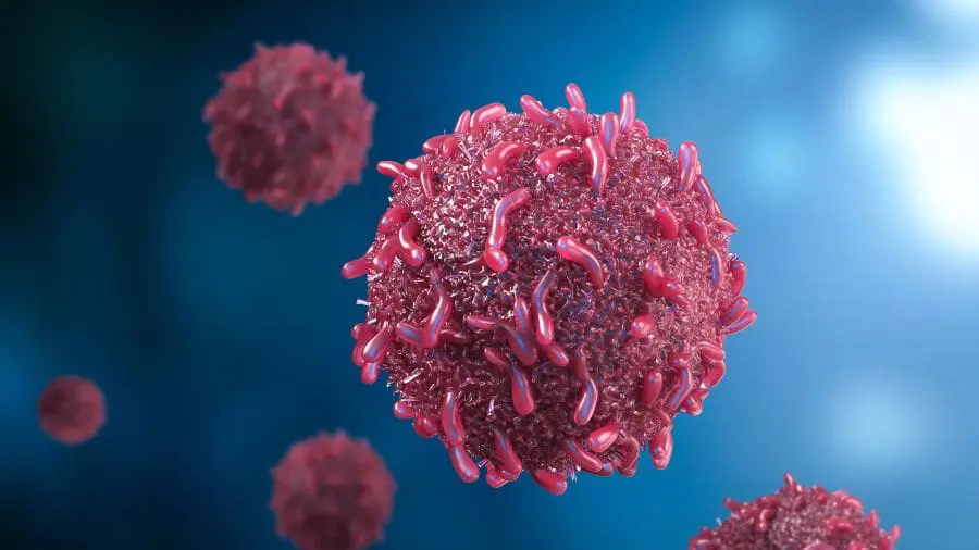 A neoplasia da regi&atilde;o cervical n&atilde;o &eacute; um diagn&oacute;stico &uacute;nico, mas um termo amplo que pode incluir diferentes tipos de tumores e c&acirc;nceres.