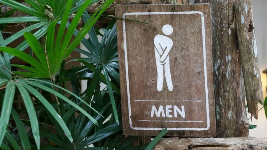 A origem da S&iacute;ndrome est&aacute; associada &agrave; ansiedade social