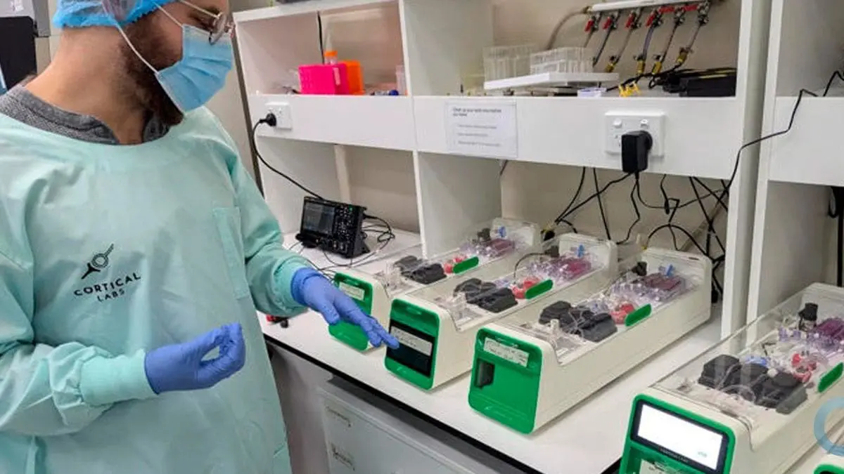 Se o c&eacute;rebro humano &eacute; t&atilde;o eficiente, por que n&atilde;o aprender com ele para construir o futuro da tecnologia?