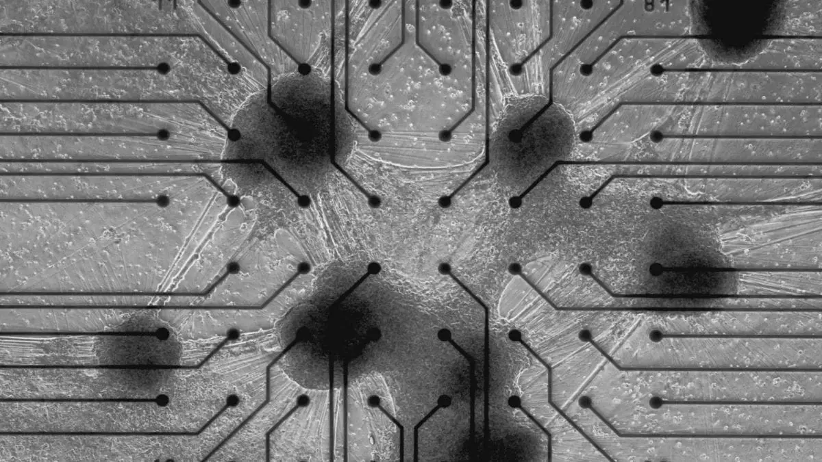 Os &lsquo;data center vivos&rsquo; n&atilde;o apenas executam tarefas. Eles evoluem enquanto funcionam.