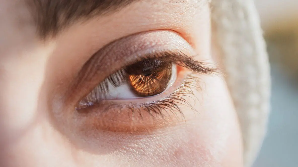 O tremor nas p&aacute;lpebras &eacute;, na maioria das vezes, um sinal silencioso de que seu corpo est&aacute; pedindo uma pausa.