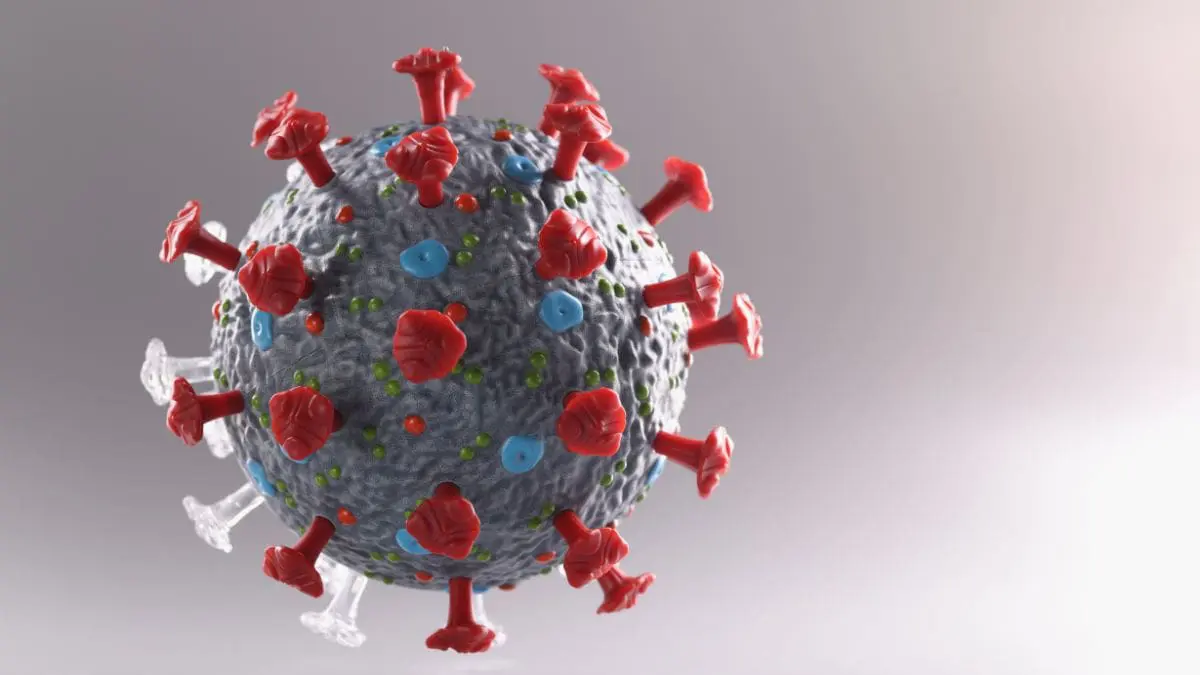 O V&iacute;rus Lujo &eacute; um exemplo de como um pat&oacute;geno raro pode representar um risco significativo