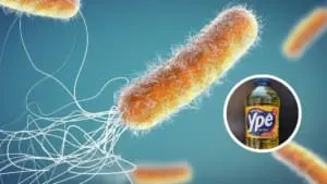Bactéria encontrada nos produtos Ypê é perigosa? Entenda os riscos