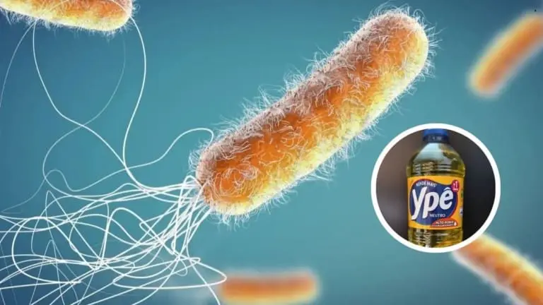 Bactéria encontrada nos produtos Ypê é perigosa? Entenda os riscos