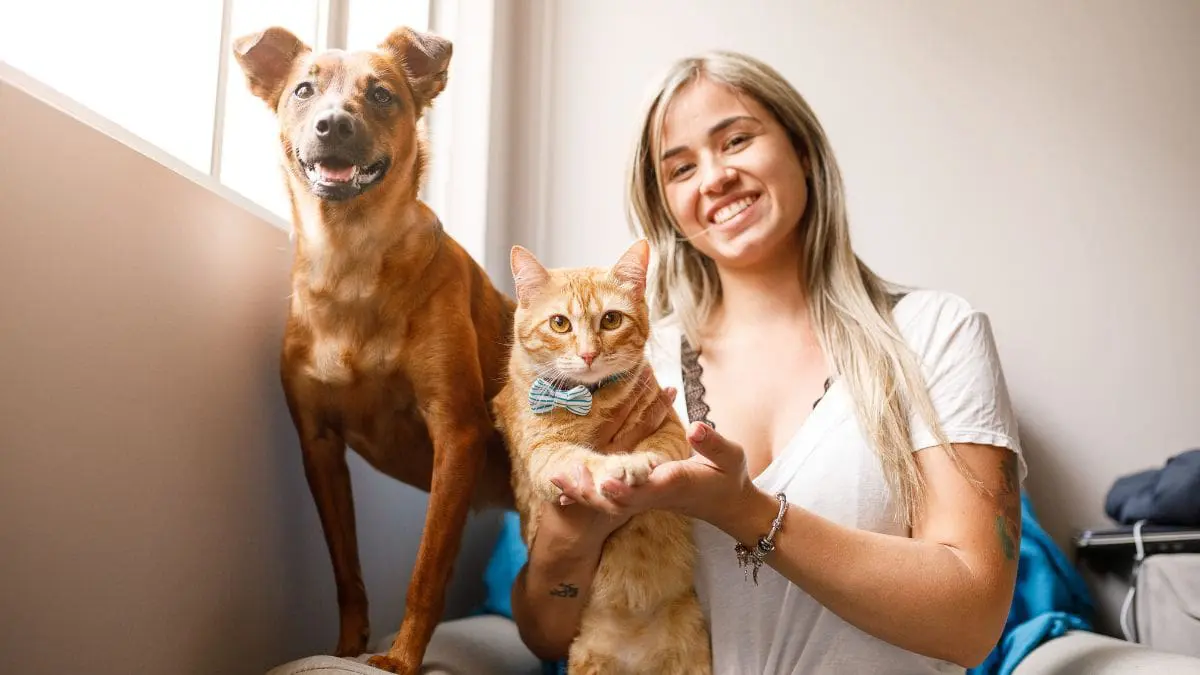 Brasileiros gastam até 8% do orçamento familiar com animais de estimação Os tutores de cães desembolsam, em média, R$ 690 por mês, enquanto os tutores de gatos gastam cerca de R$ 574 mensais