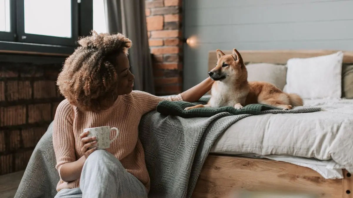 Brasileiros gastam até 8% do orçamento familiar com animais de estimação Uma pesquisa da consultoria CVA Solutions revelou que os brasileiros destinam, em média, 8% do orçamento familiar com animais de estimação
