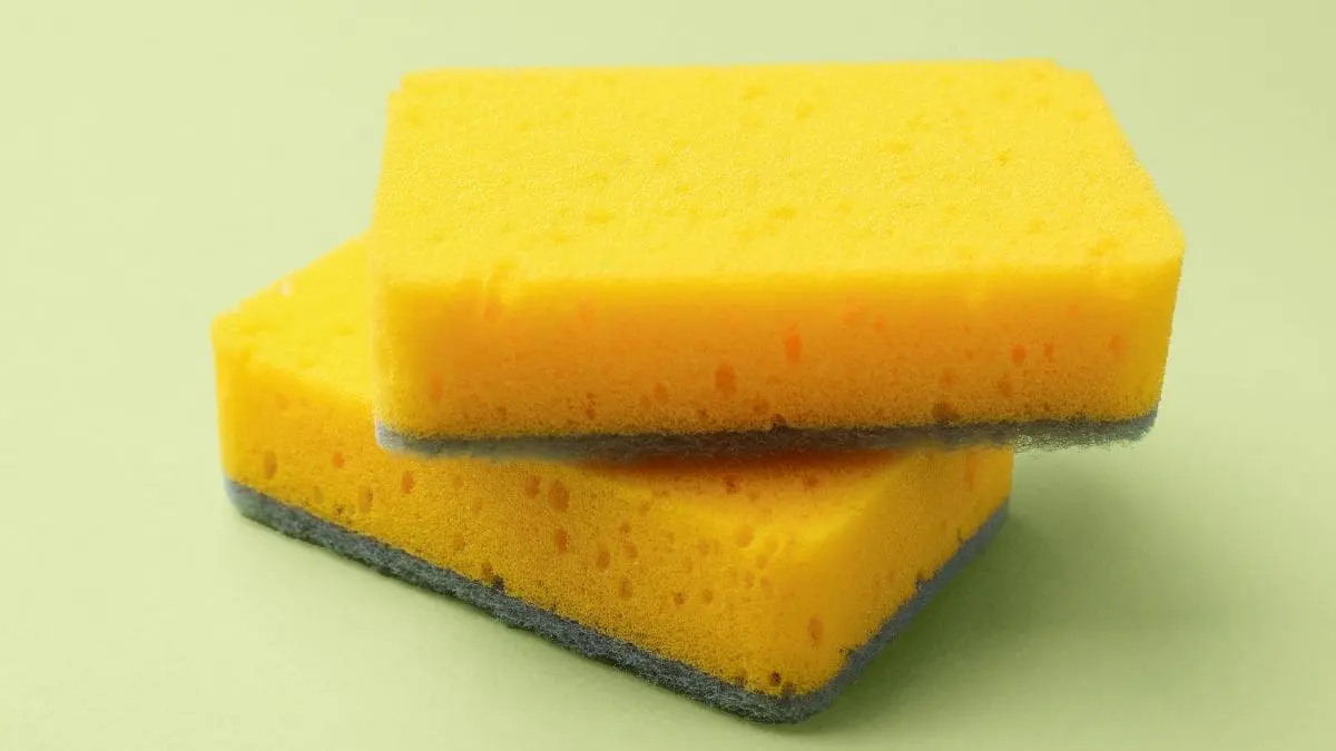 Uma esponja de cozinha re&uacute;ne calor, umidade, alimento e abrigo, praticamente um para&iacute;so para os micr&oacute;bios.