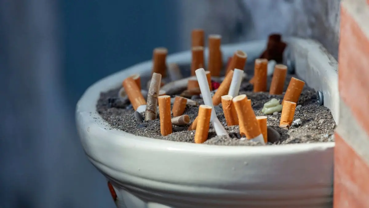 O perigo n&atilde;o est&aacute; em um cigarro isolado, mas na soma silenciosa de todos eles.