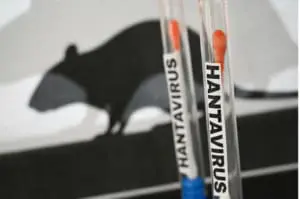 Hantavirose