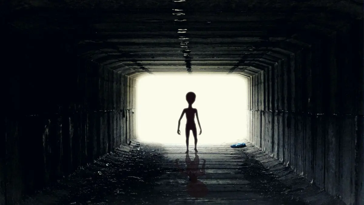 Cientistas ligados à CIA e ao Pentágono citam “quatro raças alienígenas” Entre o fascínio e a dúvida, o caso mostra como os OVNIs deixaram de ser apenas assunto de ficção científica e voltaram a ocupar espaço em debates oficiais, documentários e grandes entrevistas.