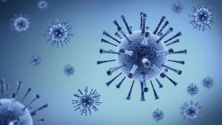 O que sabemos sobre a influenza K, nova variante da gripe em circulação?