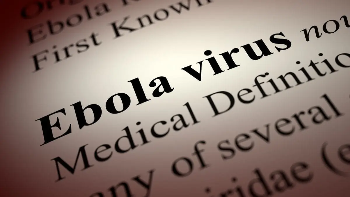 Uma emerg&ecirc;ncia global n&atilde;o quer dizer que o v&iacute;rus est&aacute; em todos os lugares. Quer dizer que o mundo precisa agir junto antes que ele chegue mais longe.