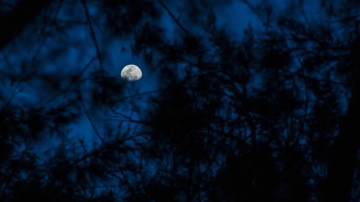 Saiba como observar a "Lua Azul" que iluminará o céu no dia 31 de maio A chamada “Lua Azul” acontece apenas a cada dois ou três anos e marca um evento astronômico incomum dentro do calendário lunar.