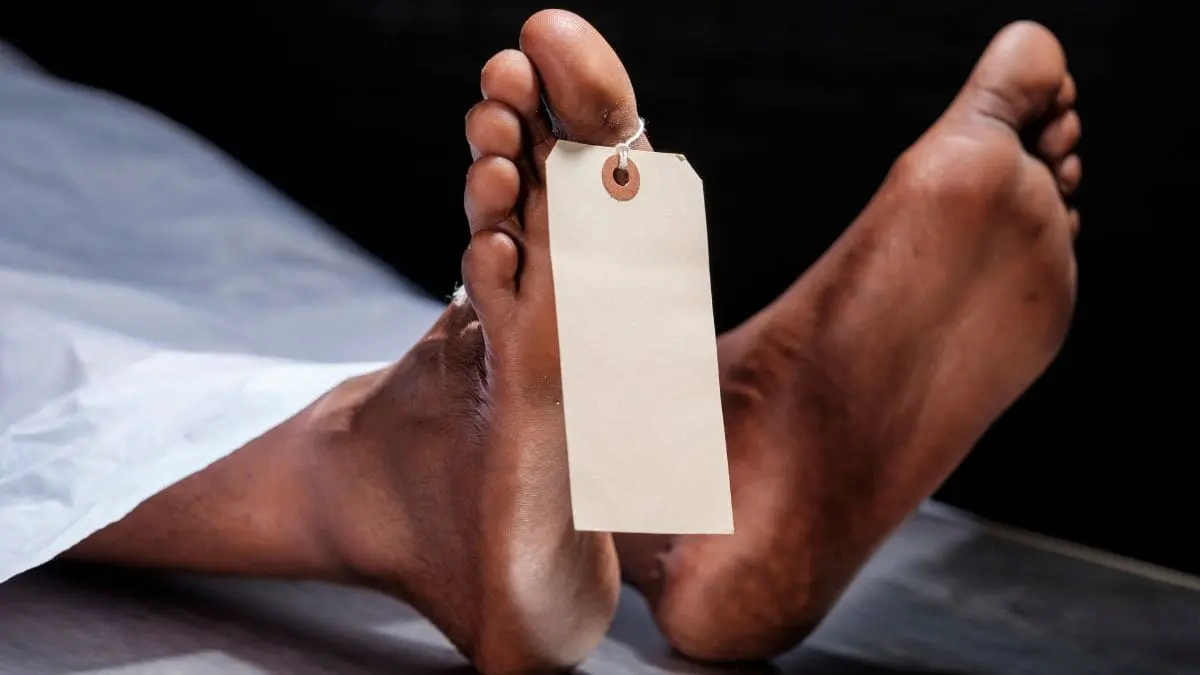 Trump afirma que novo medicamento pode trazer os mortos de volta à vida Trump afirmou que pessoas consideradas mortas teriam recebido um medicamento não identificado e melhorado depois disso