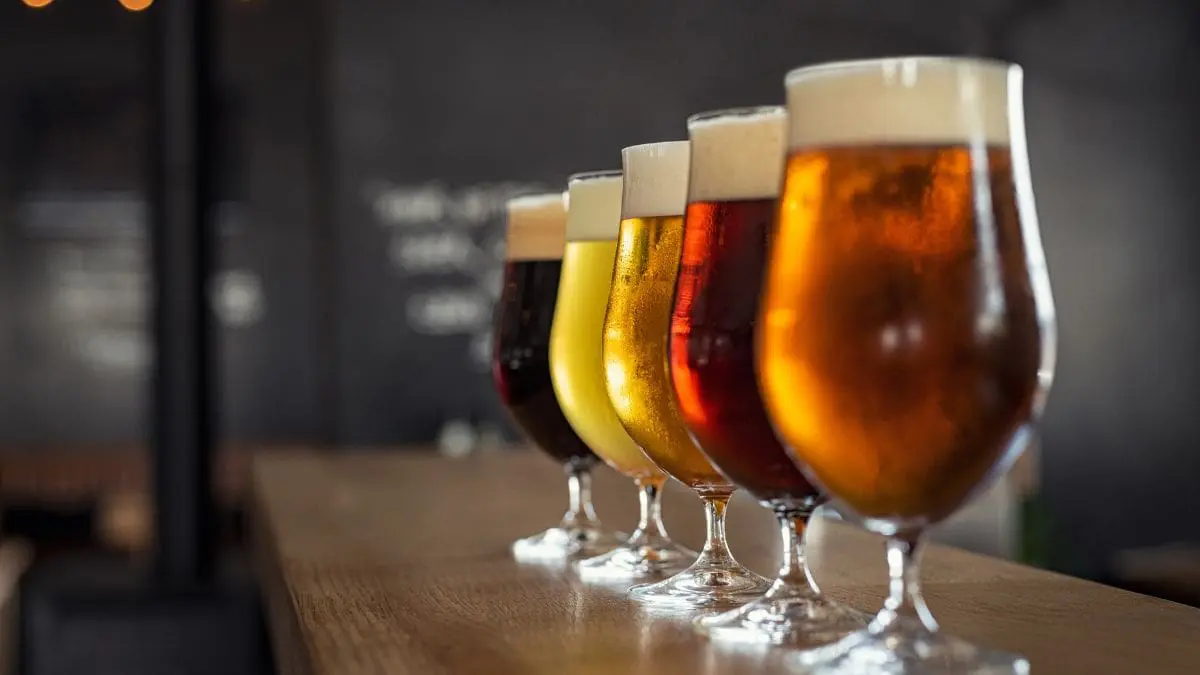 O estudo mostrou que as cervejas do tipo bock, conhecidas por serem mais encorpadas e alco&oacute;licas, apresentaram os maiores n&iacute;veis de vitamina B6.