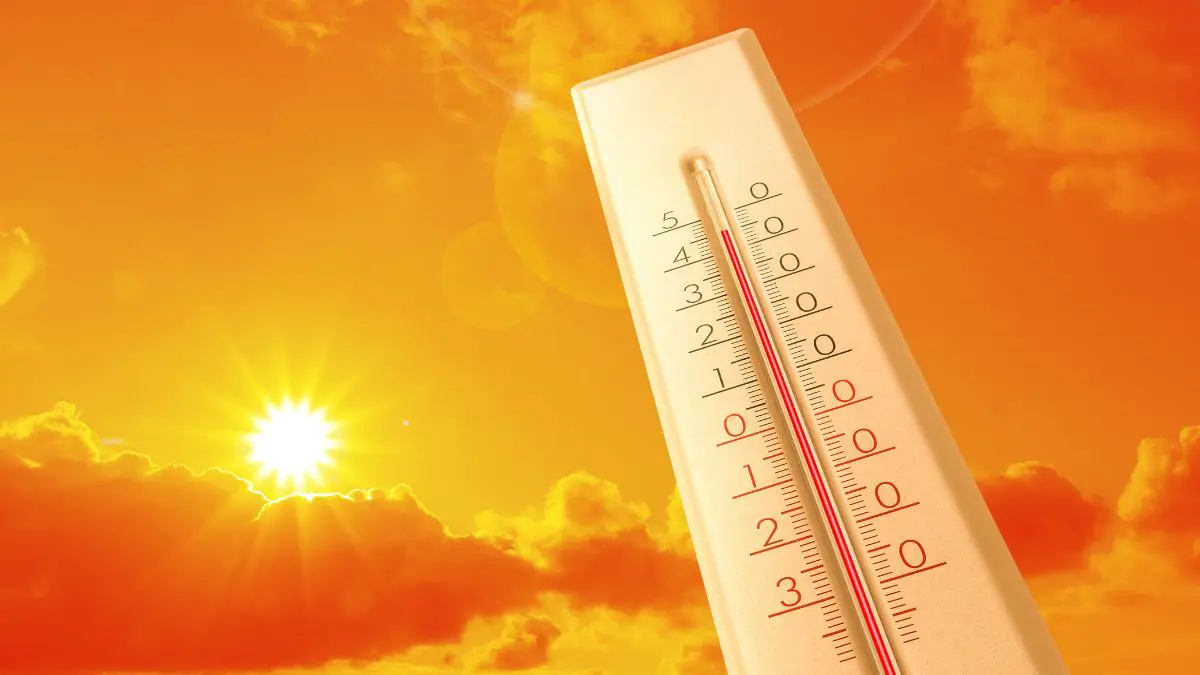 O calor extremo na Europa j&aacute; deixou mais de 1.300 mortes adicionais desde 21 de junho, segundo a Organiza&ccedil;&atilde;o Mundial da Sa&uacute;de