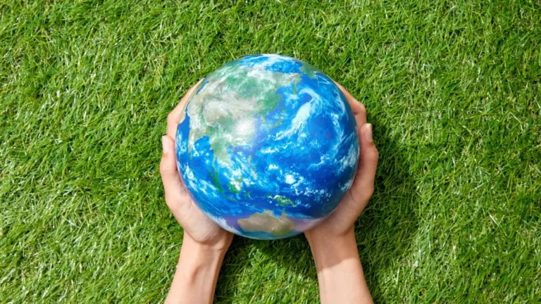O retrato ambiental do planeta no Dia Mundial do Meio Ambiente