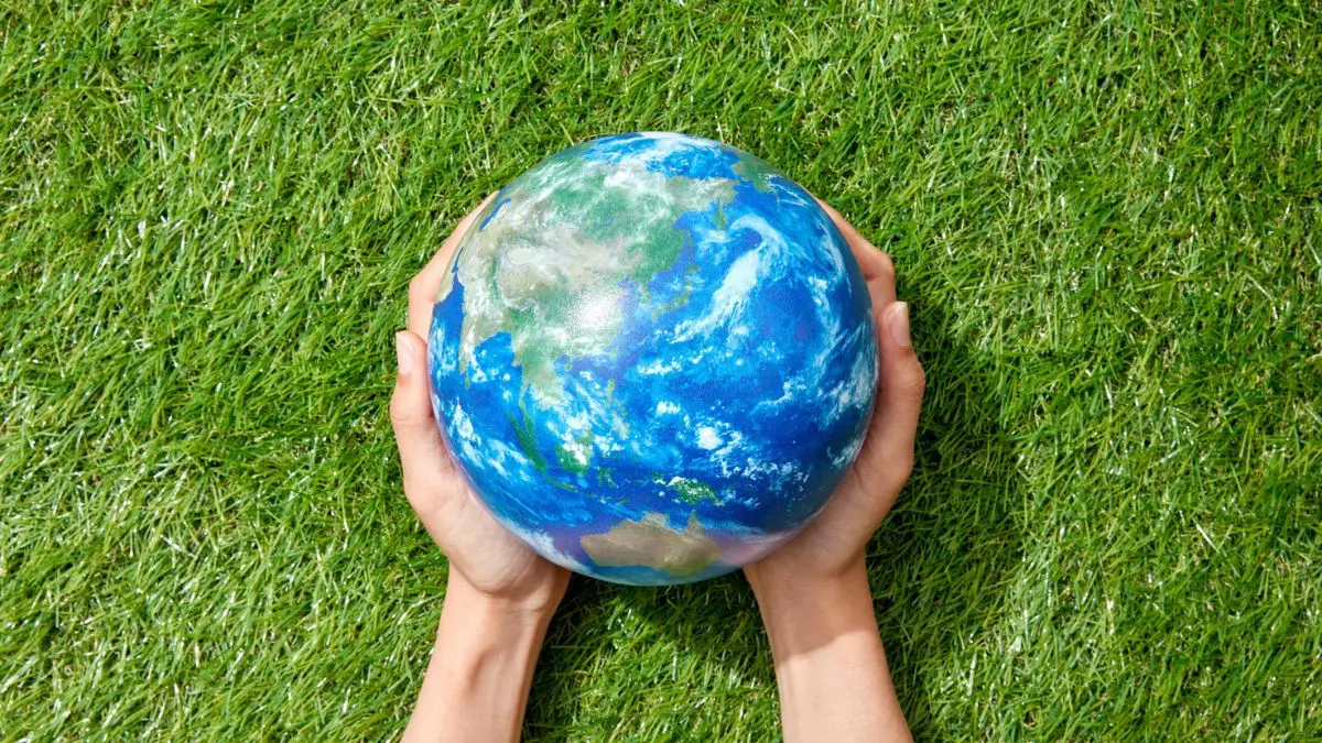 O retrato ambiental do planeta no Dia Mundial do Meio Ambiente