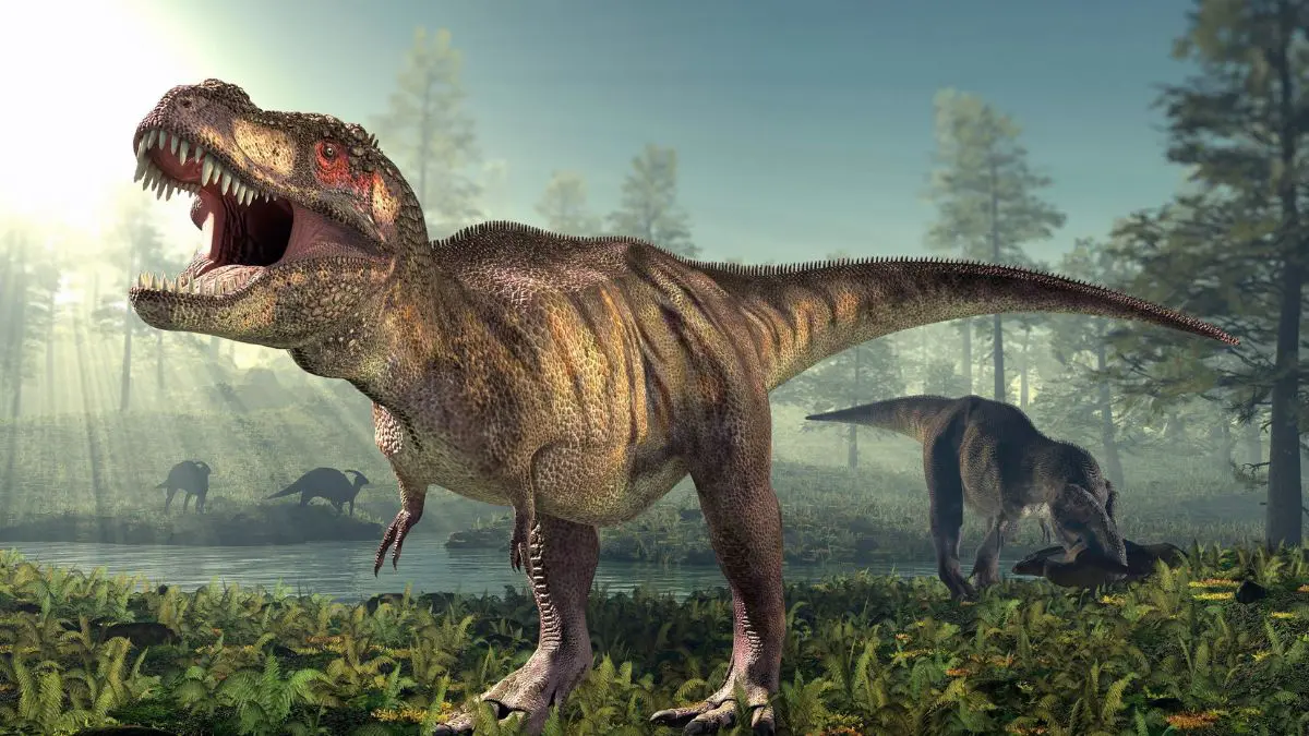 Durante o per&iacute;odo em que o T-Rex e seus parentes viveram, muitos ecossistemas eram habitados por enormes dinossauros herb&iacute;voros, incluindo os saur&oacute;podes de pesco&ccedil;o longo.