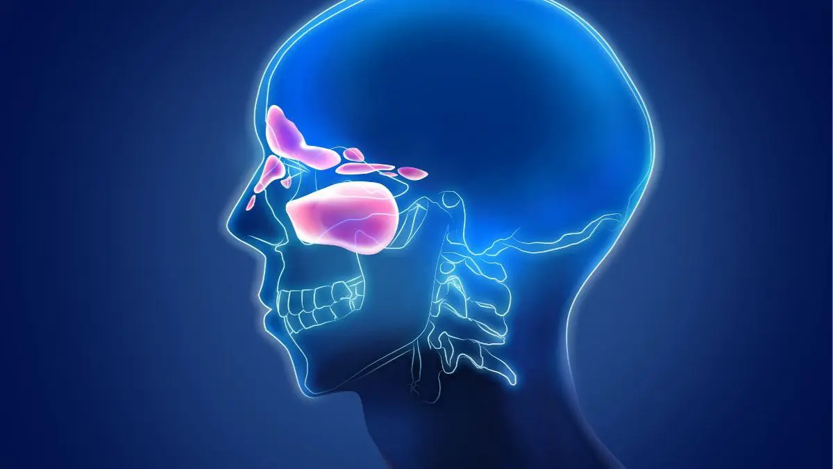 A lavagem nasal &eacute; extremamente segura quando realizada corretamente. O risco costuma surgir quando h&aacute; excesso de press&atilde;o durante a aplica&ccedil;&atilde;o do soro.