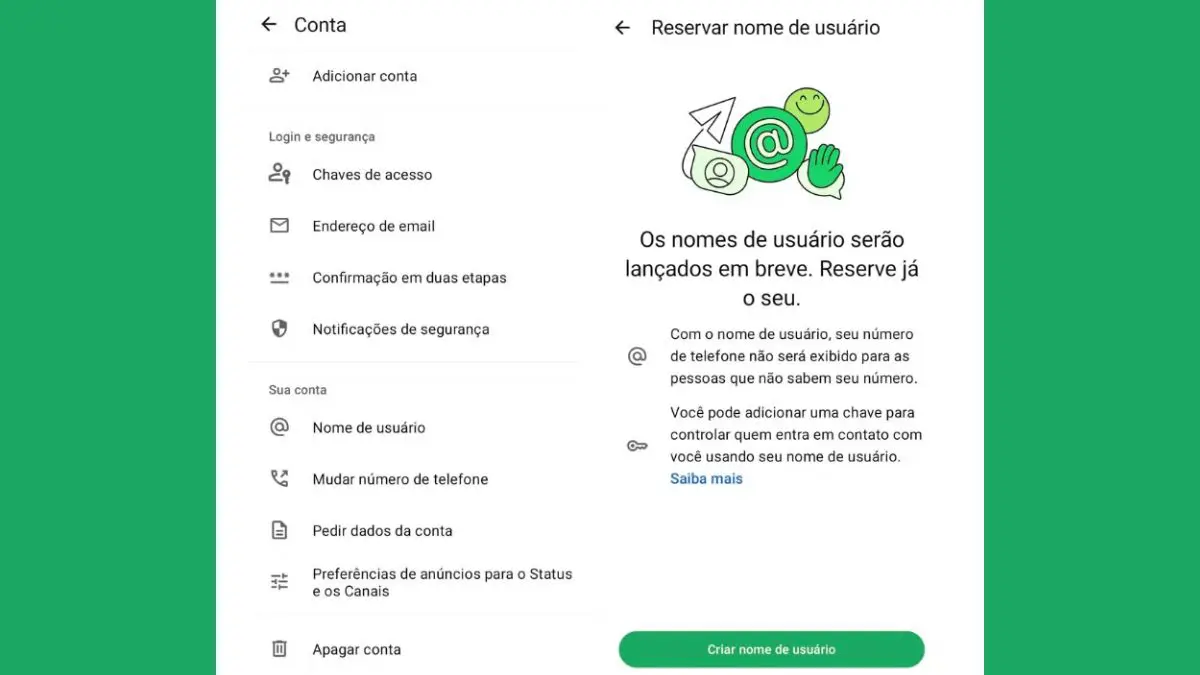 A reserva do nome de usu&aacute;rio ser&aacute; liberada de forma gradual. Quando o recurso estiver dispon&iacute;vel, o pr&oacute;prio aplicativo dever&aacute; notificar o usu&aacute;rio
