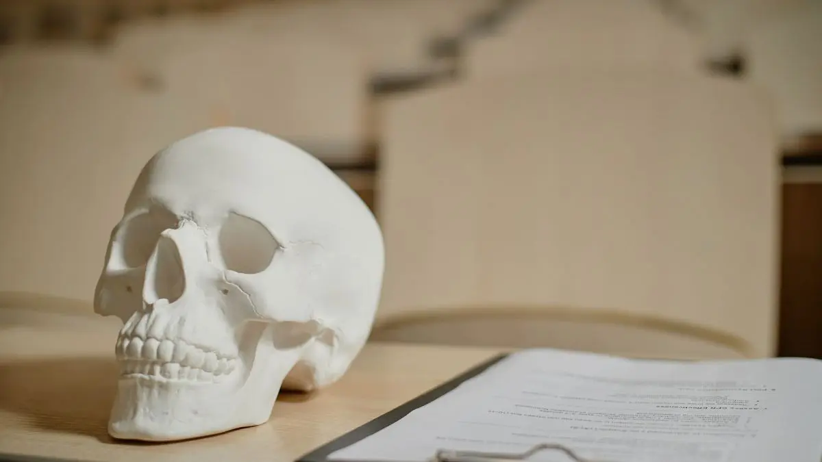 O recorde de longevidade humana amplamente documentado continua pertencendo &agrave; francesa Jeanne Calment, que morreu em 1997 aos 122 anos e 164 dias