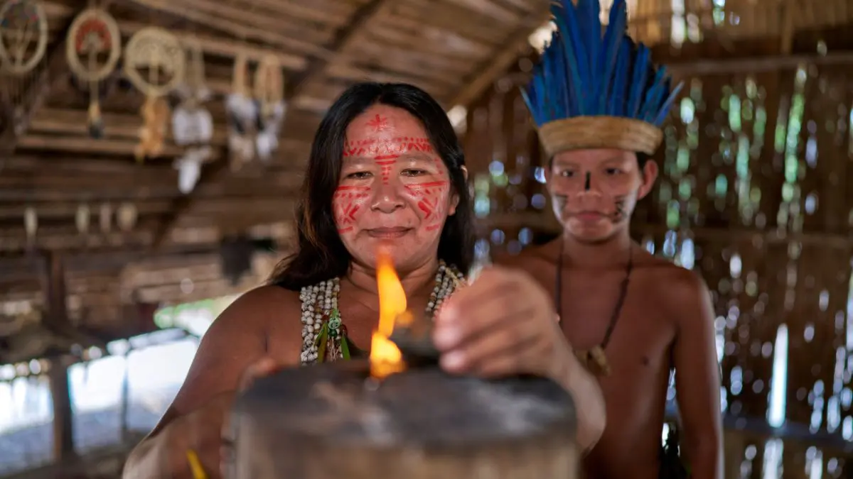 A descoberta mostra que o DMT fez c&eacute;lulas-tronco neurais humanas iniciarem a multiplica&ccedil;&atilde;o, n&atilde;o que a ayahuasca tenha criado novos neur&ocirc;nios em pessoas.