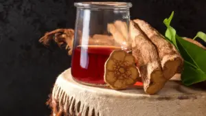 Psicodélico da ayahuasca pode ajudar o cérebro a produzir novos neurônios