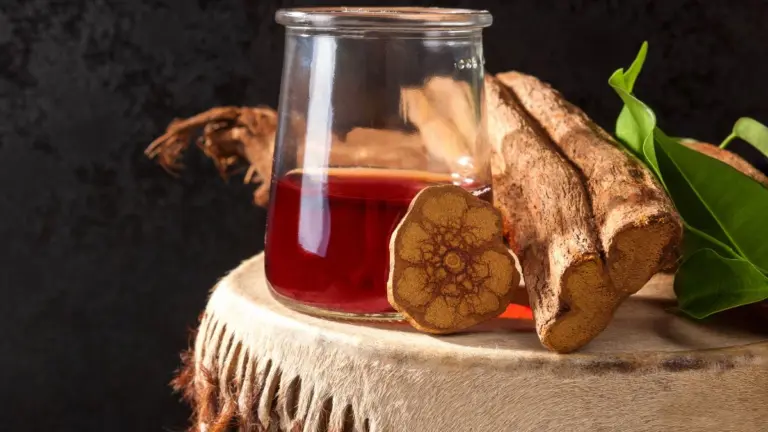 Psicodélico da ayahuasca pode ajudar o cérebro a produzir novos neurônios