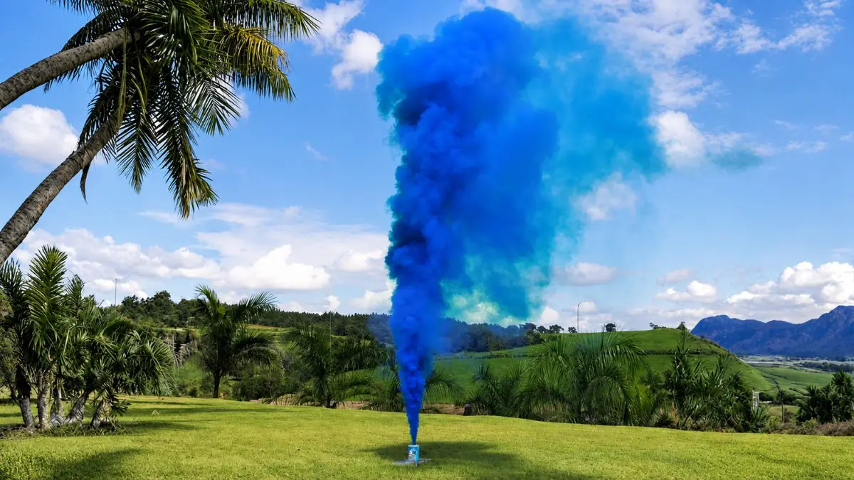 Wilbur n&atilde;o apenas apareceu azul. Ela voltou para casa carregando no pelo a resposta que todos esperavam no ch&aacute; revela&ccedil;&atilde;o: era menino.
