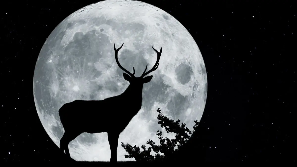 A &lsquo;Lua do Veado&rsquo; n&atilde;o ganha chifres, n&atilde;o muda de tamanho e n&atilde;o possui uma cor exclusiva. O espet&aacute;culo est&aacute; na maneira como ela surge no horizonte.
