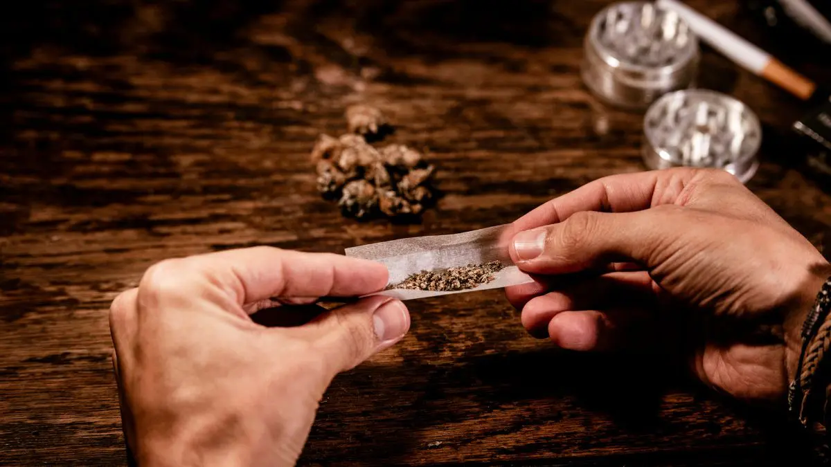 Maconha supera álcool e cigarro no consumo diário nos Estados Unidos