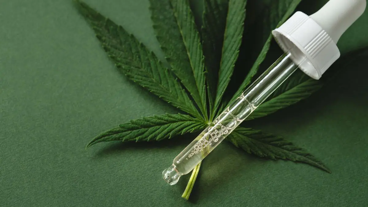 Quando o assunto &eacute; cannabis medicinal, o caminho mais seguro n&atilde;o &eacute; a promessa f&aacute;cil, mas a informa&ccedil;&atilde;o respons&aacute;vel e o acompanhamento profissional.