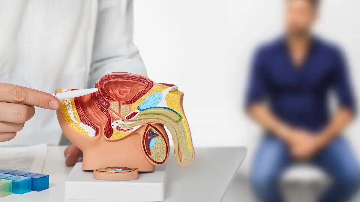 Um teste melhor pode ajudar muito, mas rastreamento de c&acirc;ncer de pr&oacute;stata continua sendo uma decis&atilde;o que deve considerar idade, risco individual e orienta&ccedil;&atilde;o m&eacute;dica.