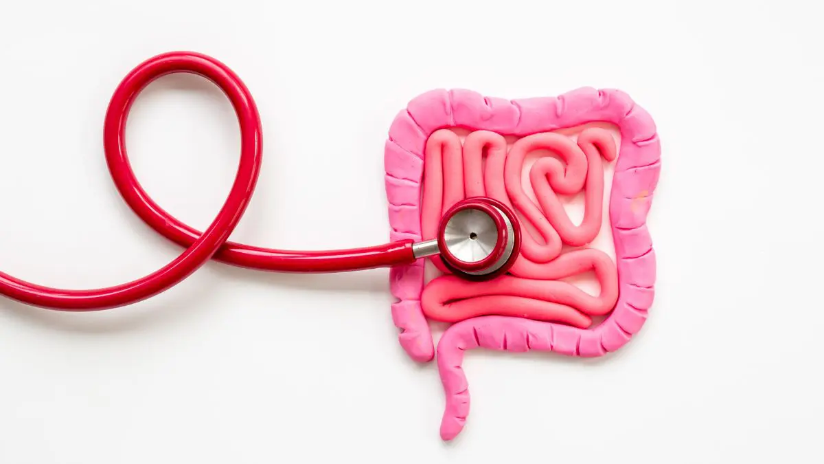Ansiedade e depressão podem estar ligadas à saúde intestinal