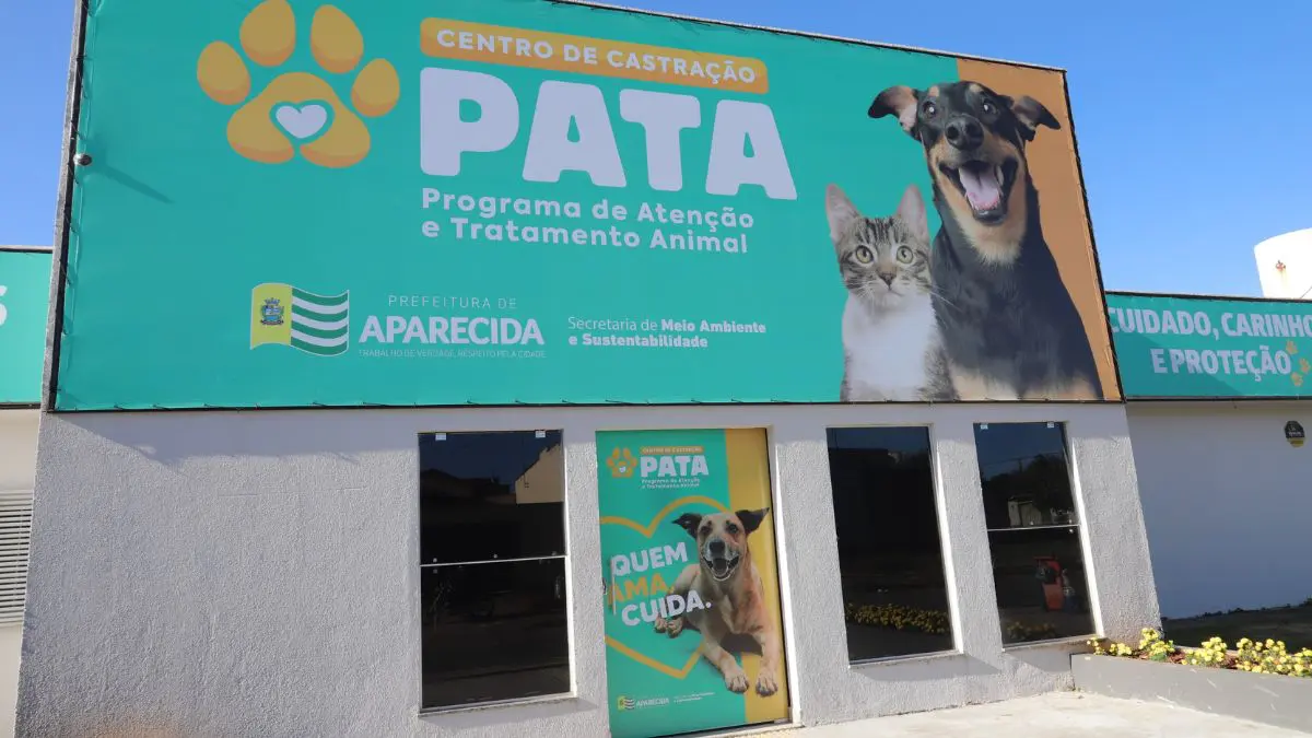 Atenção! STF obriga prefeituras a proteger cães e gatos abandonados Aparecida de Goiânia começou a estruturar sua política de proteção animal antes da decisão do STF, mostrando que os municípios não precisam esperar uma ordem judicial para agir.