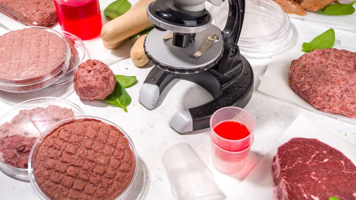 A Vegan Society já se posicionou sobre esse tema e considera que carne cultivada não é vegana porque sua produção parte de células animais